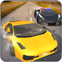 Highway Police Vs Auto Theft icon