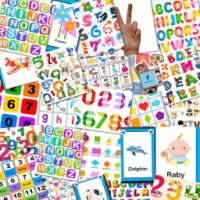 Flash Card Collection 2016