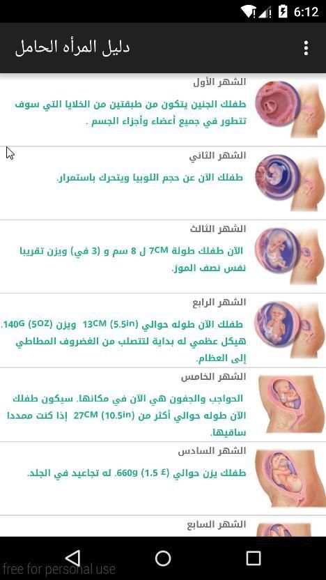 دليلك للحمل screenshot 4