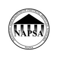 NAPSA 2016 Annual Conference on 9Apps