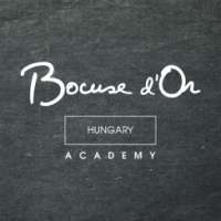 Bocuse d’Or Budapest 2016 on 9Apps