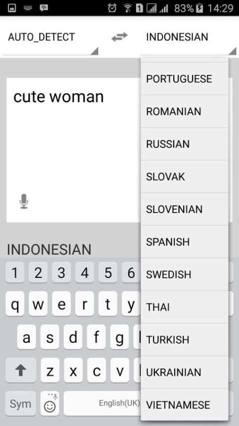 English Dictionary screenshot 2
