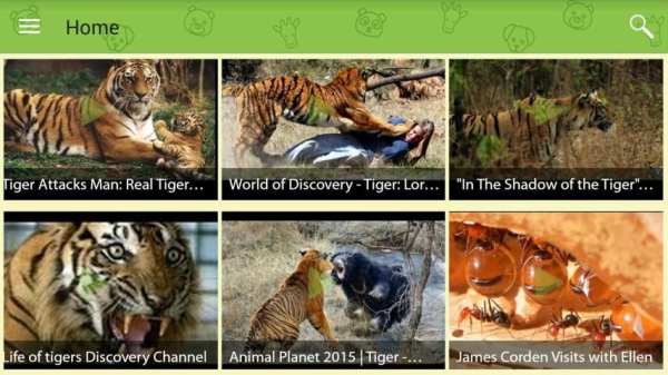 Animal Videos स्क्रीनशॉट 4