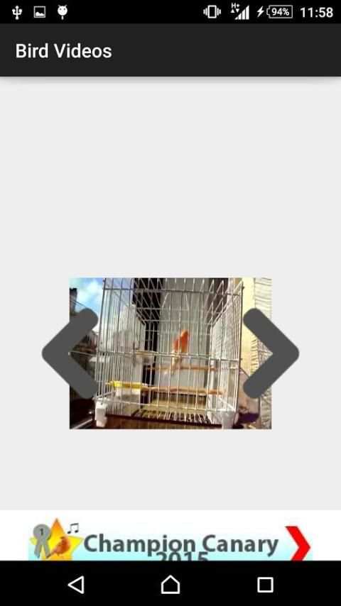 Bird Training Videos screenshot 1