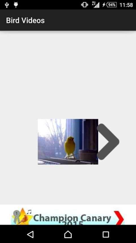 Bird Training Videos screenshot 2