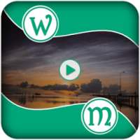 Video Watermark Logo