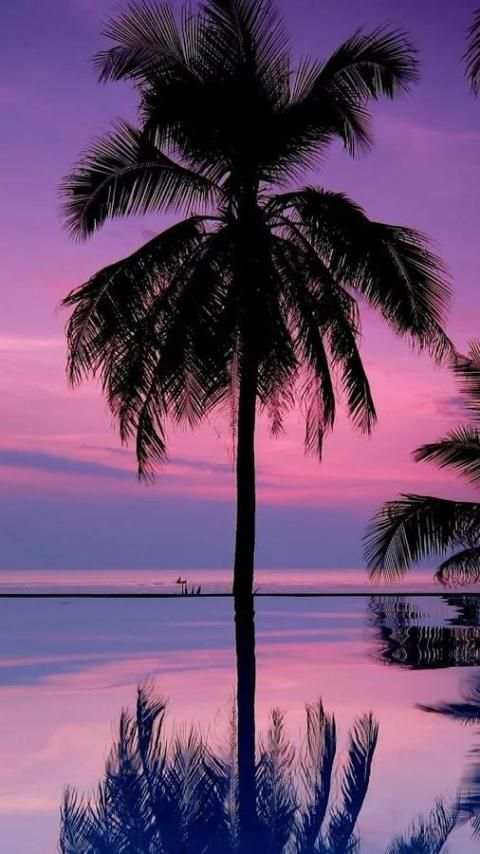 WeatherForeCast 3 تصوير الشاشة