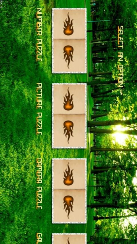 4493 Puzz screenshot 2