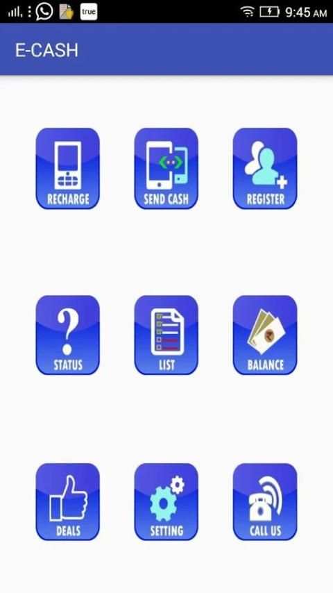 E-CASH screenshot 1