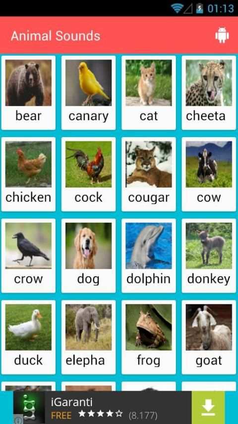 Animal Sounds screenshot 4
