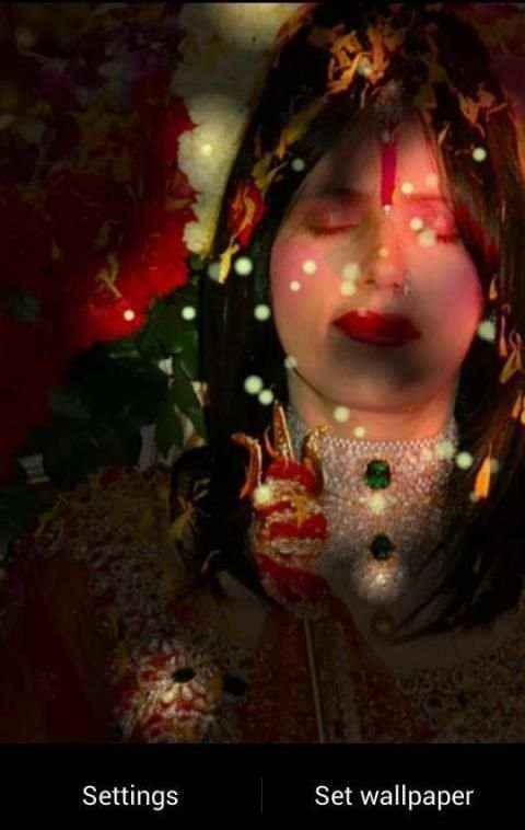 Radhe Maa Fireflies LWP स्क्रीनशॉट 3