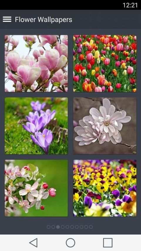 Flower Wallpapers 3 تصوير الشاشة