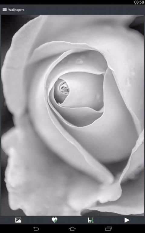 Flower Wallpapers screenshot 8