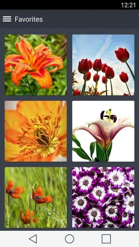 Flower Wallpapers 1 تصوير الشاشة