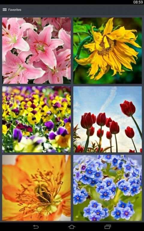 Flower Wallpapers screenshot 7