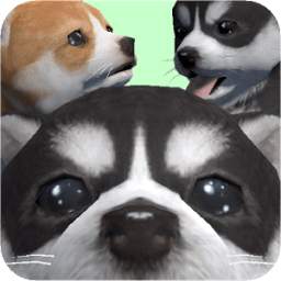Cute Pocket Puppy 3D - Part 2