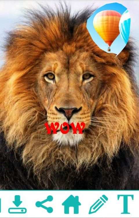 Funny Photo Maker स्क्रीनशॉट 1