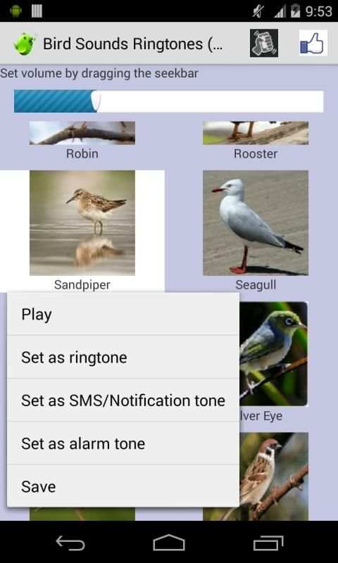 Bird Sounds Ringtones screenshot 1