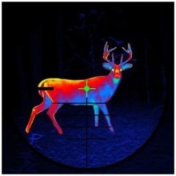 Deer Hunting – 2016 Sniper 3D icon