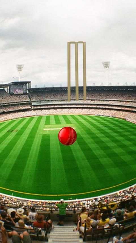 Howzzaaat! Cricket Lock Screen screenshot 5