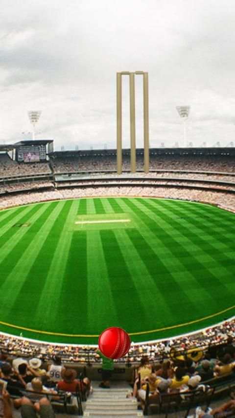 Howzzaaat! Cricket Lock Screen screenshot 4