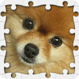 Puzzle Infinity : Puppies иконка