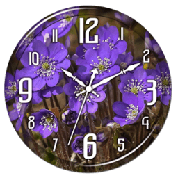 Violet Flower Clock Live WP आइकन