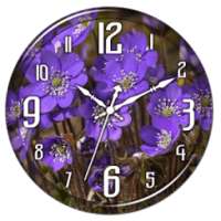 Violet Flower Clock Live WP