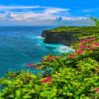 Flower Beach Live Wallpaper on 9Apps