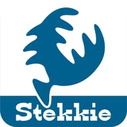 Stekkie Magazine