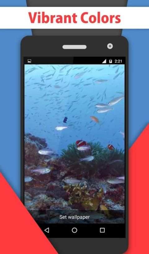 Tropical Colorful Fish lwp скриншот 5