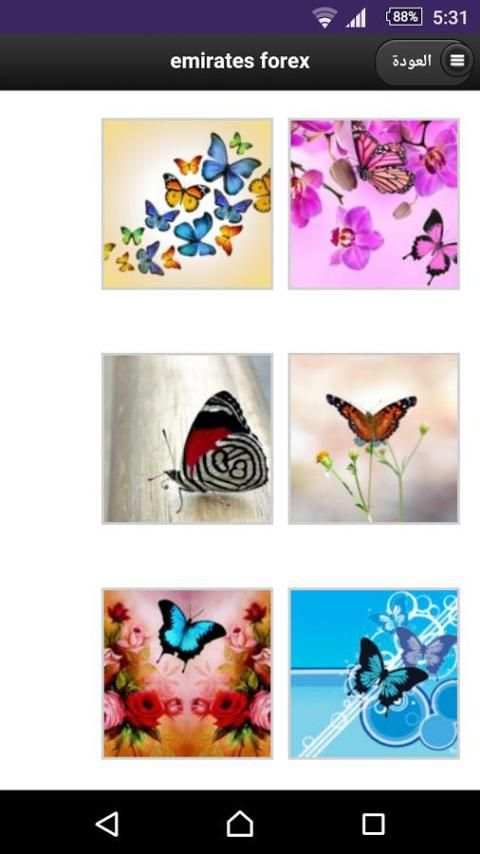 خلفيات فراشات screenshot 4