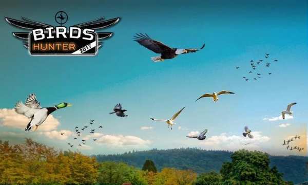 Birds Hunter 2017 स्क्रीनशॉट 6
