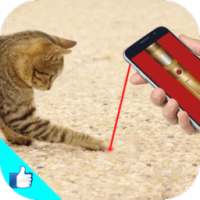 Cat Laser Games Pointer Joke