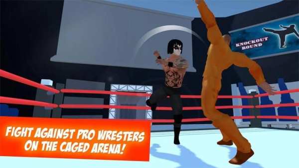 Wrestling: Revolution Fight 3D 4 تصوير الشاشة