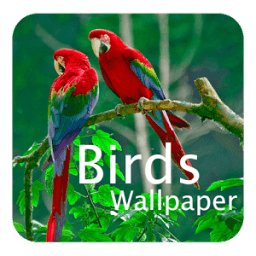 Birds Wallpaper आइकन