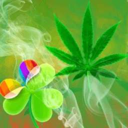 Ganja Theme GO Launcher EX 4.8