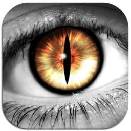 Fox Eyes 1.00
