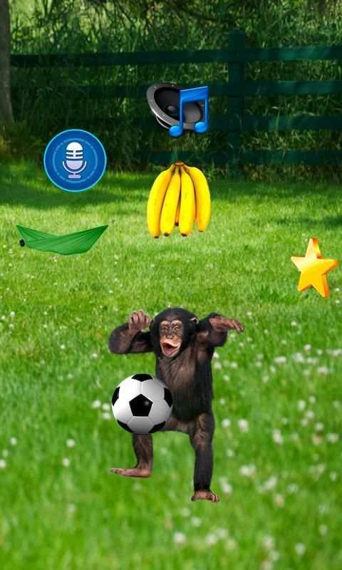 Talking Monkey скриншот 9