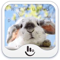 Cute Bunny 6.3.25