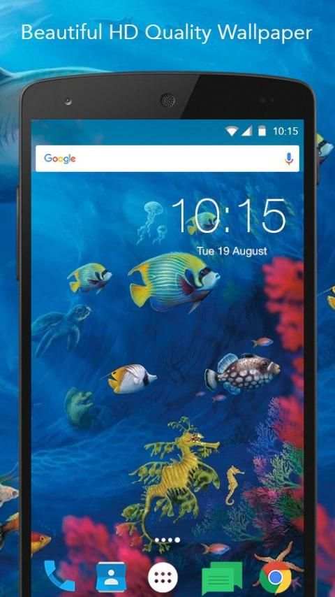 Clown Fish Live Wallpaper screenshot 7