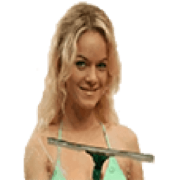 Lady Clean Wallpaper icon