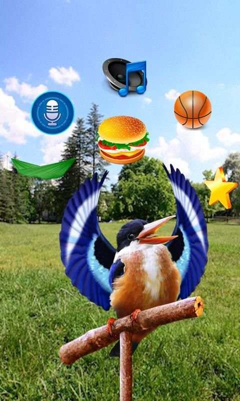 Real Talking Bird скриншот 7