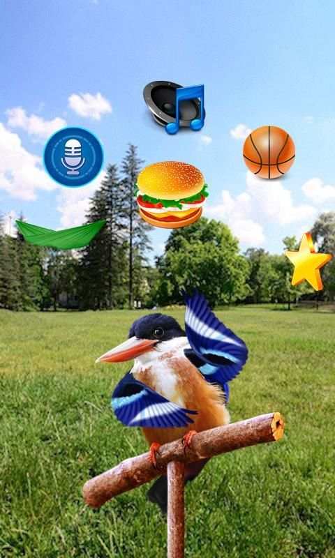 Real Talking Bird скриншот 6