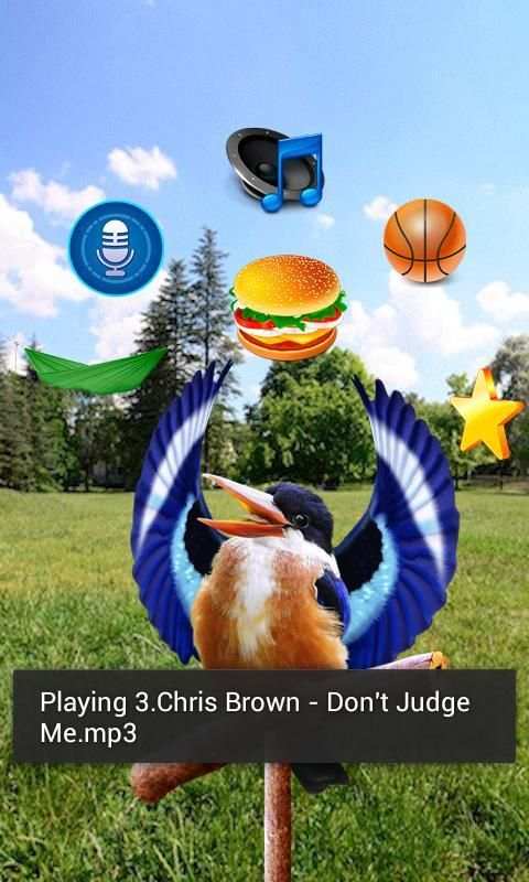 Real Talking Bird скриншот 1