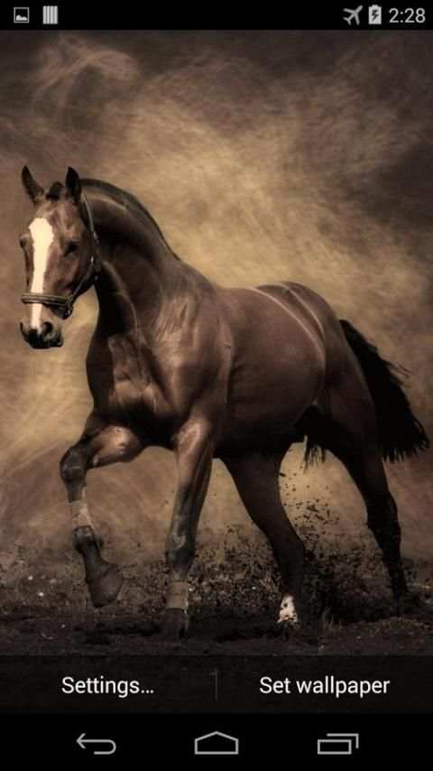 Horse Live Wallpaper FREE скриншот 3