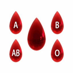 ikon Blood Group Personality
