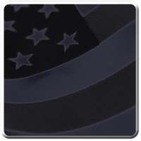 US Citizenship Questionnaire