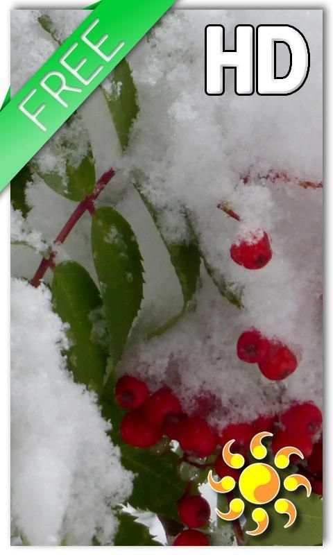 Winter Berry Live Wallpaper screenshot 3
