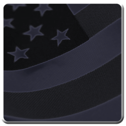 US Citizenship Questionnaire иконка